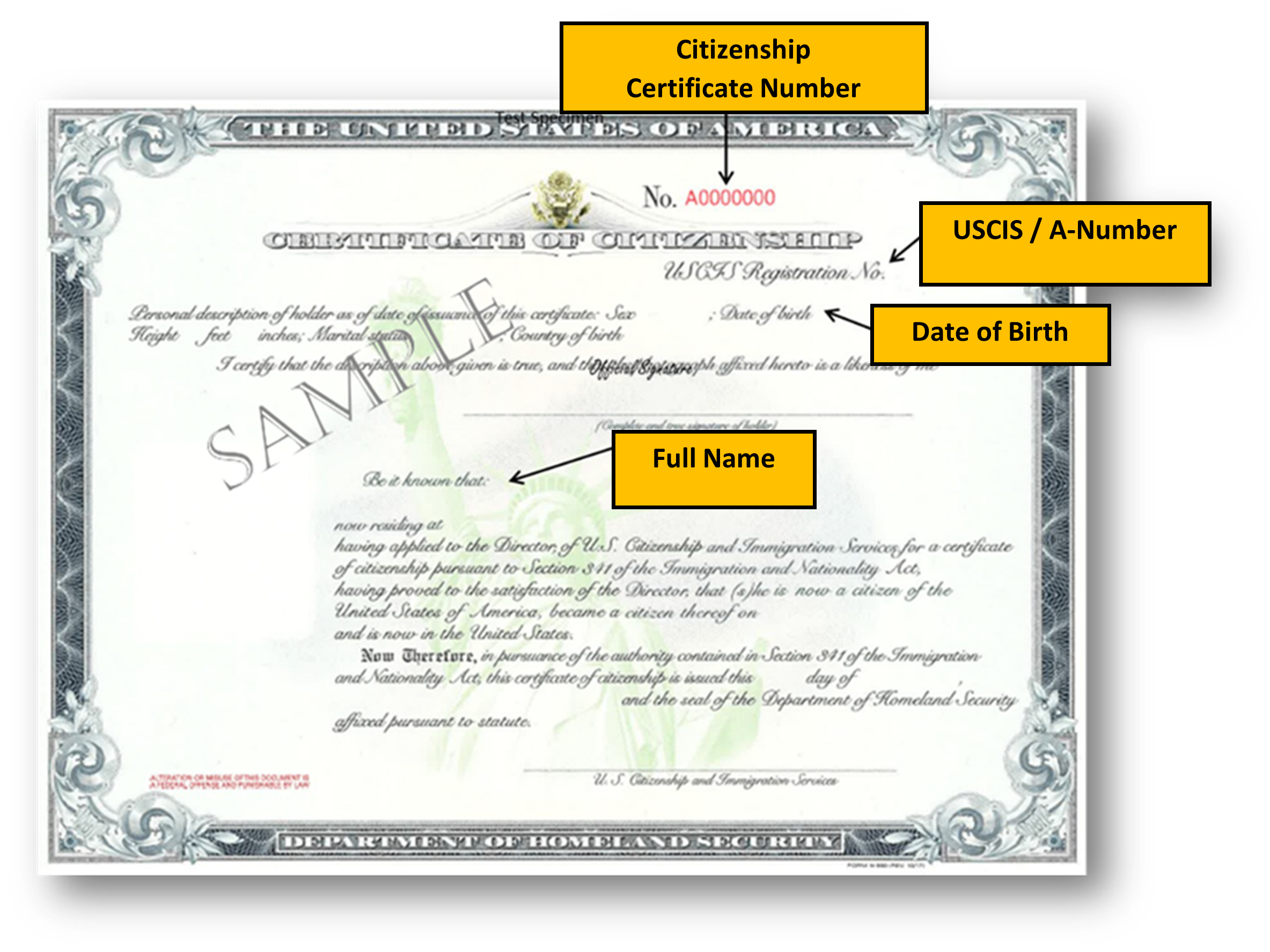 N-560 Current Version